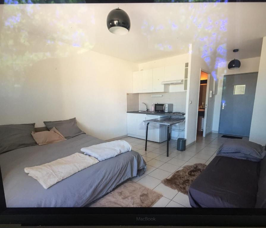 Appartement Montpellier : magnifique studio ensoleillée Avenue de Monsieur Teste 34070 Montpellier