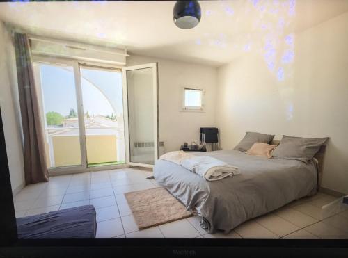 Montpellier : magnifique studio ensoleillée