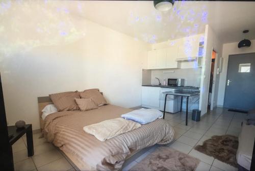 Montpellier : magnifique studio ensoleillée