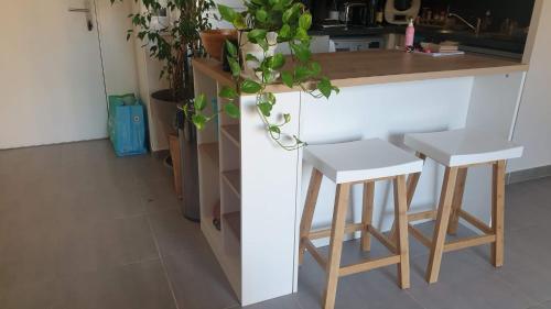 Montpellier, Magnifique T2 cosy avec jardin