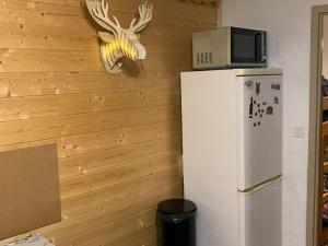 Mountain-view apartment in Chatel with terrace