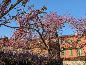 Moustier