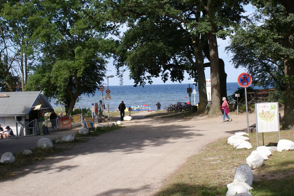 Möwe am Ostseestrand - ABC58 Strandstr. 19b, 23968 Zierow