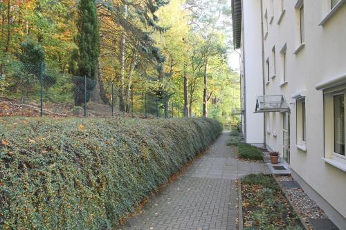 Möwenblick