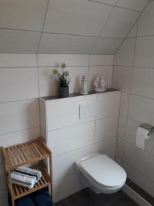 Möwennest