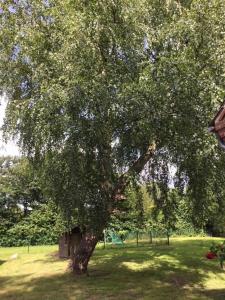 Mühlenweg Onkel Fiffi
