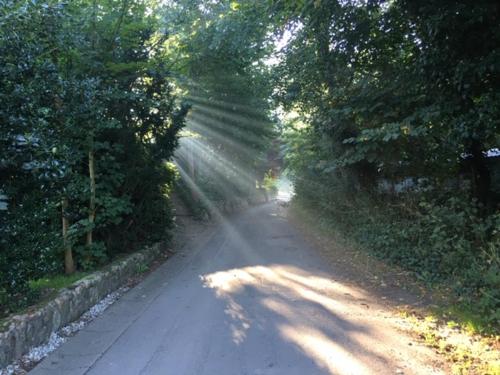 Mühlenweg- Tante Lise