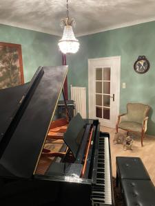 Musikalische Ferienwohnung mit Rheinblick