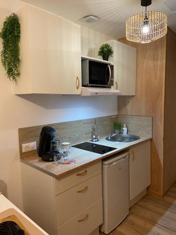 Appartement N°2 L'épicéa - Appart Hôtel La Maison Sévigné 49 Place Sévigné 62400 Béthune