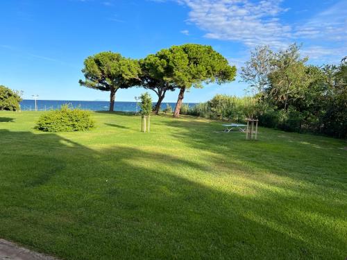 Appartement n 79 Moriani plage San-Nicolao france