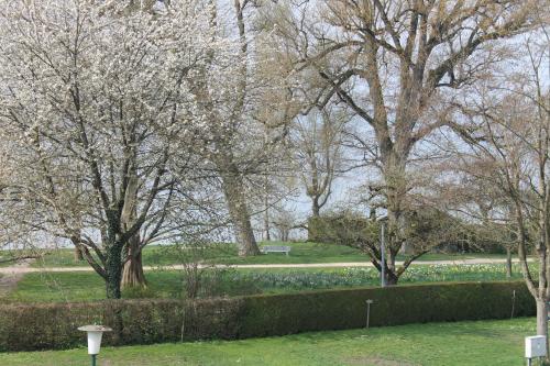 Nahe am See