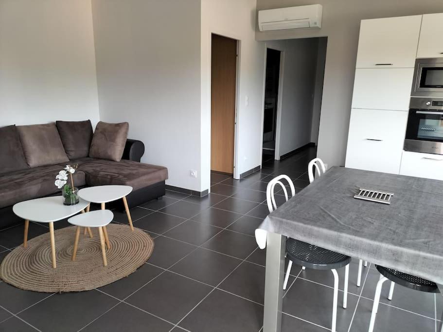 Nancy appartement en triplex plein centre