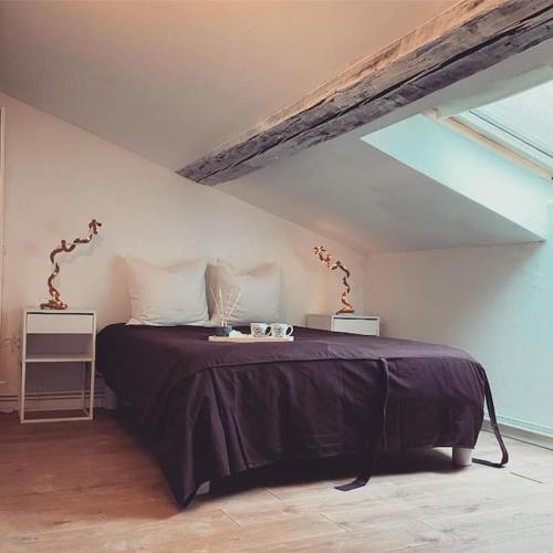 Nancy appartement en triplex plein centre