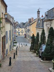 NATICOSY-Appartement centre historique avec jardin IDEAL COUPLE