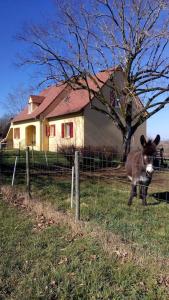 Appartement nature et proximité Puy Tilliry 46600 Martel Midi-Pyrénées