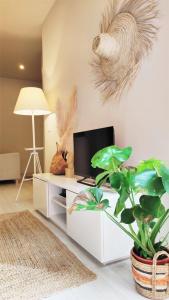 Naty Studio with Terrace