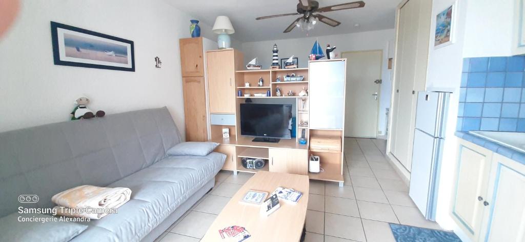 Appartement Nautilus studio au port avec loggia et parking 7 Boulevard Desnoyer 66750 Saint-Cyprien