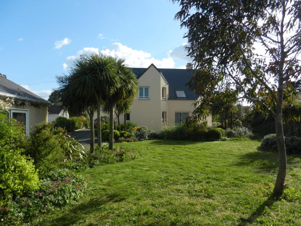 Nestor&Jeeves - CIGALUSA TERRASSE - Port area - Close Old Town 06300 Nice
