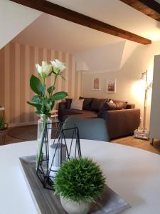 Neu renovierte Ferienwohnung mit Poolhaus & Sauna auf dem Bauernhof