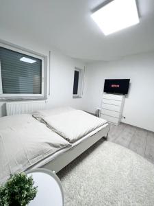 Neu sanierte Einzimmerwohnung