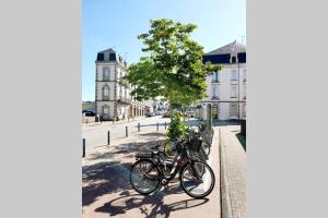 Neuf et Cosy Appartement au Centre de Vannes