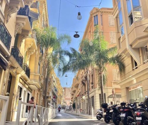 NEW! Beautiful Apartment - 1 minute to Monte Carlo
