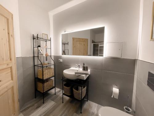 New Deluxe Studio Apartment in quiet back house