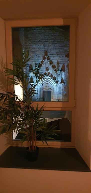 New & Discounted studio in the Latin Quarter!
