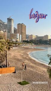 New Monaco Penthouse Stunning sea view