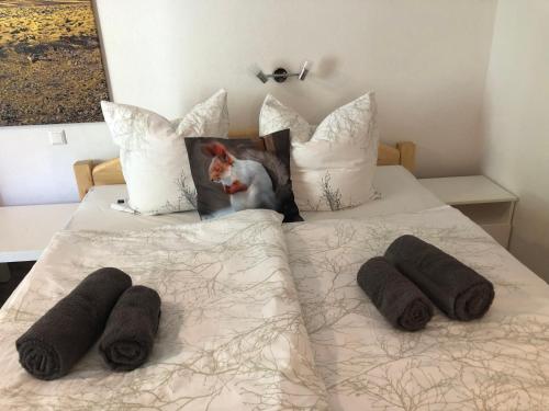 NEW - NEU Appartement Eichhörnchen - zentral Todtmoos Schwarzwald Black Forest ehem Galeria