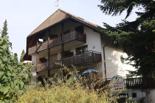 NEW - NEU Appartement Eichhörnchen - zentral Todtmoos Schwarzwald Black Forest ehem Galeria