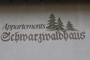 NEW - NEU Appartement Eichhörnchen - zentral Todtmoos Schwarzwald Black Forest ehem Galeria