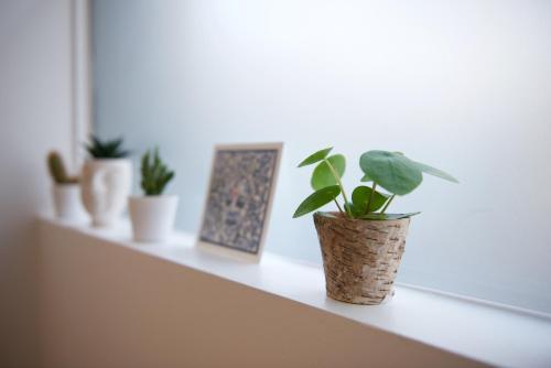 NEWLY RENOVATED FLAT- Batignolles Paris 17