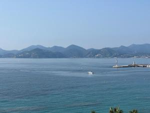 Newly renovated: Sea-front Croisette, top-floor