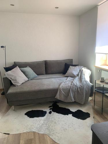 Nibelungen 1 Zimmer Apartment