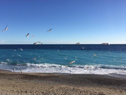 NICE 115 BY THE SEA