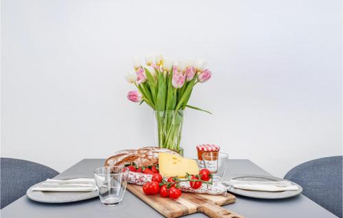 Nice apartment in Lembruch-Dmmer See with WiFi and Indoor swimming pool