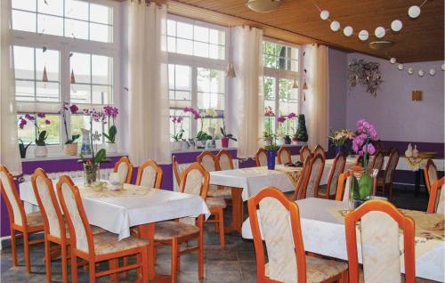 Nice apartment in Mirow with 8 Bedrooms and WiFi