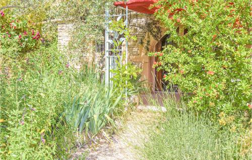 Nice apartment in Nyons with Outdoor swimming pool and 1 Bedrooms