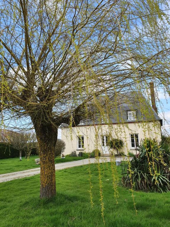 Nice apartment in Sainteny with 1 Bedrooms and WiFi 50500 Sainteny