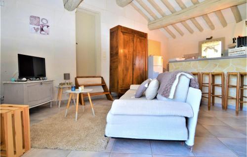 Nice apartment in Vallabregues with WiFi and 1 Bedrooms