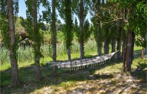Nice apartment in Vallabregues with WiFi and 1 Bedrooms