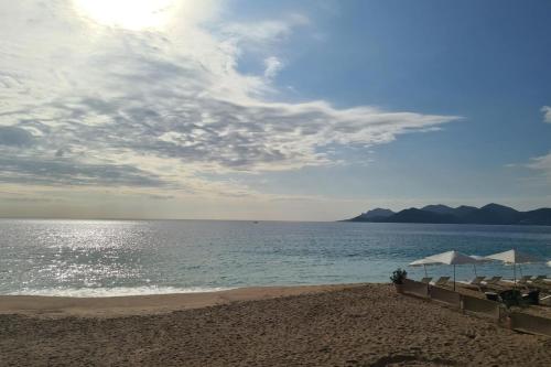 Nice Apt For 4 In Cannes