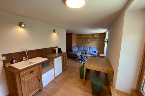 Nice Cosy Apt With Garden In Chamonix Mont Blanc