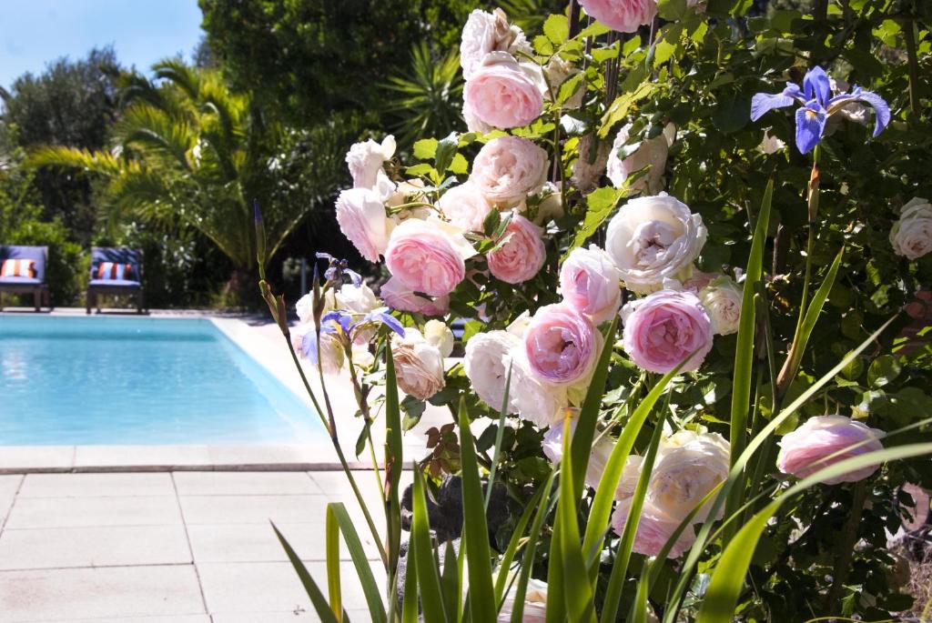 Nice furnished apartment with inner courtyard near the city center 33000 Bordeaux