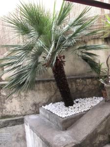 Nice Grand appartement face jardin