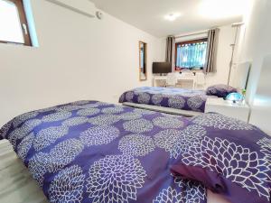 Nice room & garden close to EuroAirport & 3 borders!