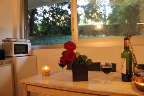 Nice studio in the heart of Sceaux