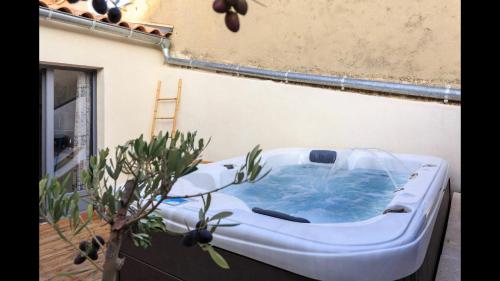Nid d'amour à l'Isle sur la Sorgue