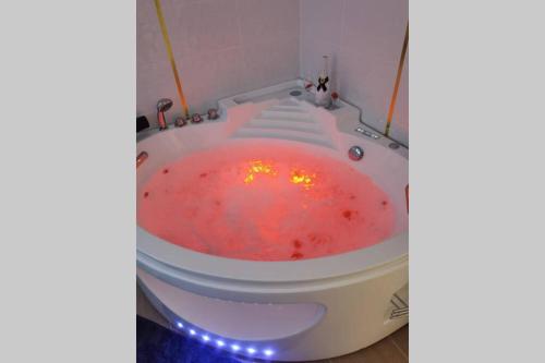 Nid d'amour baignoire/jacuzzi